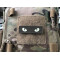 Cat Eyes Lasercut Patch, ranger-green, gid nachleuchtende Augen  / Cordura Lasercut