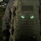 Tiger Eyes, Lasercut Molle Stripes, Set, ranger-green gid afterglow, Cordura Lasercut
