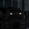 Tiger Eyes, Lasercut Molle Stripes, Set, black, reflective, Cordura Lasercut