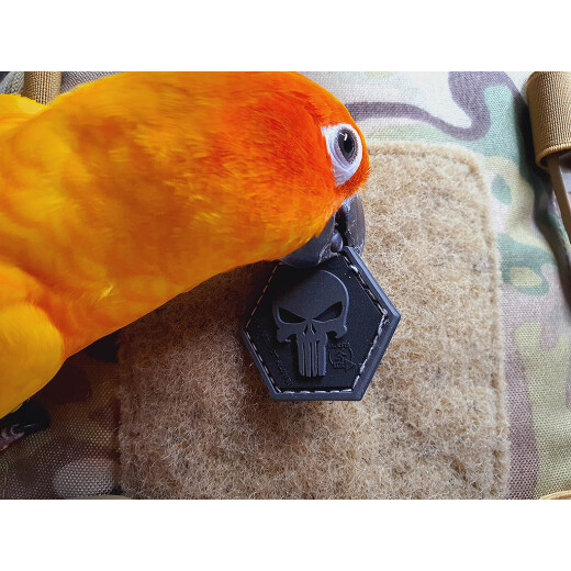 JTG Punisher “YOU ARE NOT ALONE” Patch, blackops, Hexagon Patch, JTG 3D Rubber Patch