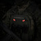 Tiger Eyes, Lasercut Molle Stripes, Set, ranger-green, red-gid afterglow, Cordura Lasercut, M-Tac