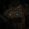 Tiger Eyes, Lasercut Molle Stripes, Set, coyote, blue-gid afterglow, Cordura Lasercut, M-Tac