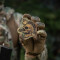 Sorry Patch, multicam-coyote, embroided Patch, M-Tac