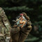 Tactical Witch , Girl No. 11 Patch, fullcolor, 3d Rubber Patch, M-Tac