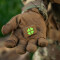 Kleeblatt Molle Stripe, coyote, green-gid afterglow, Cordura Lasercut, M-Tac